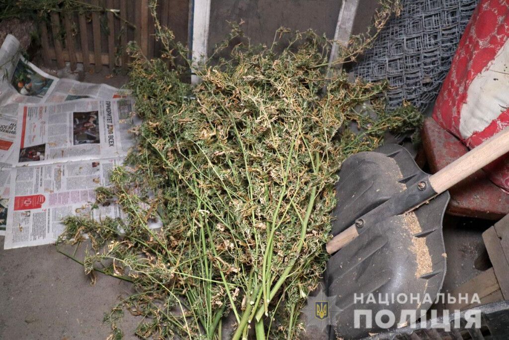 В Маріуполі обласні поліцейські перекрили канал збуту марихуани (ВІДЕО)