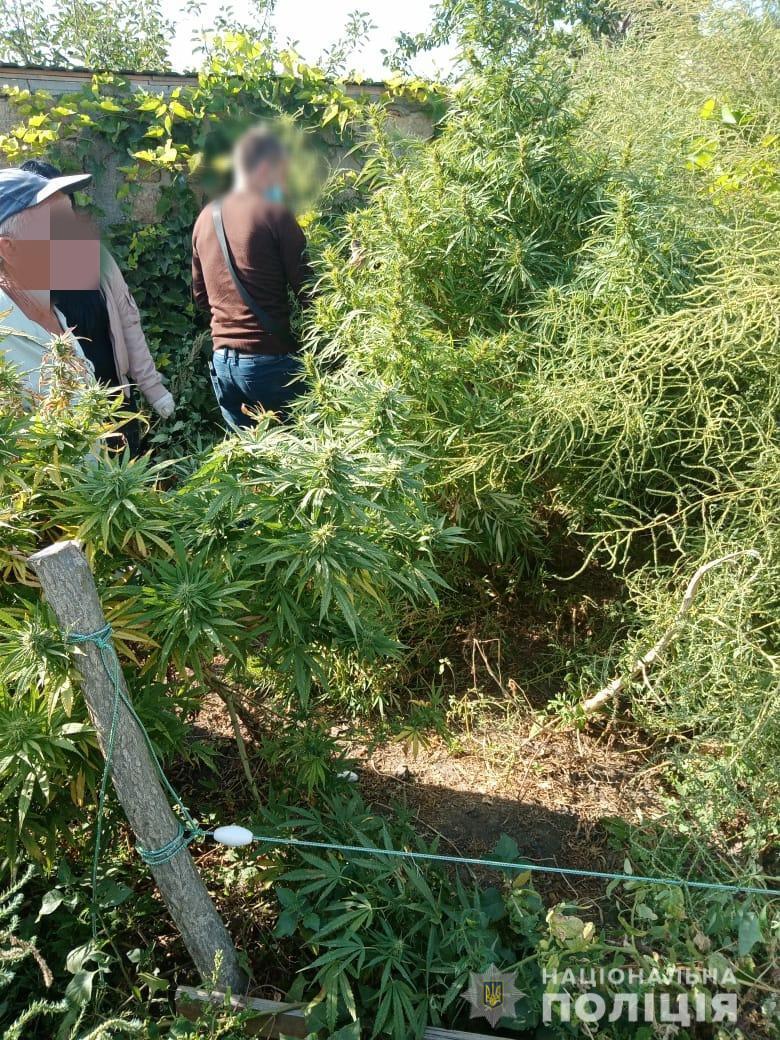 Правоохоронці викрили жителя Іванівського району у зберіганні наркотиків