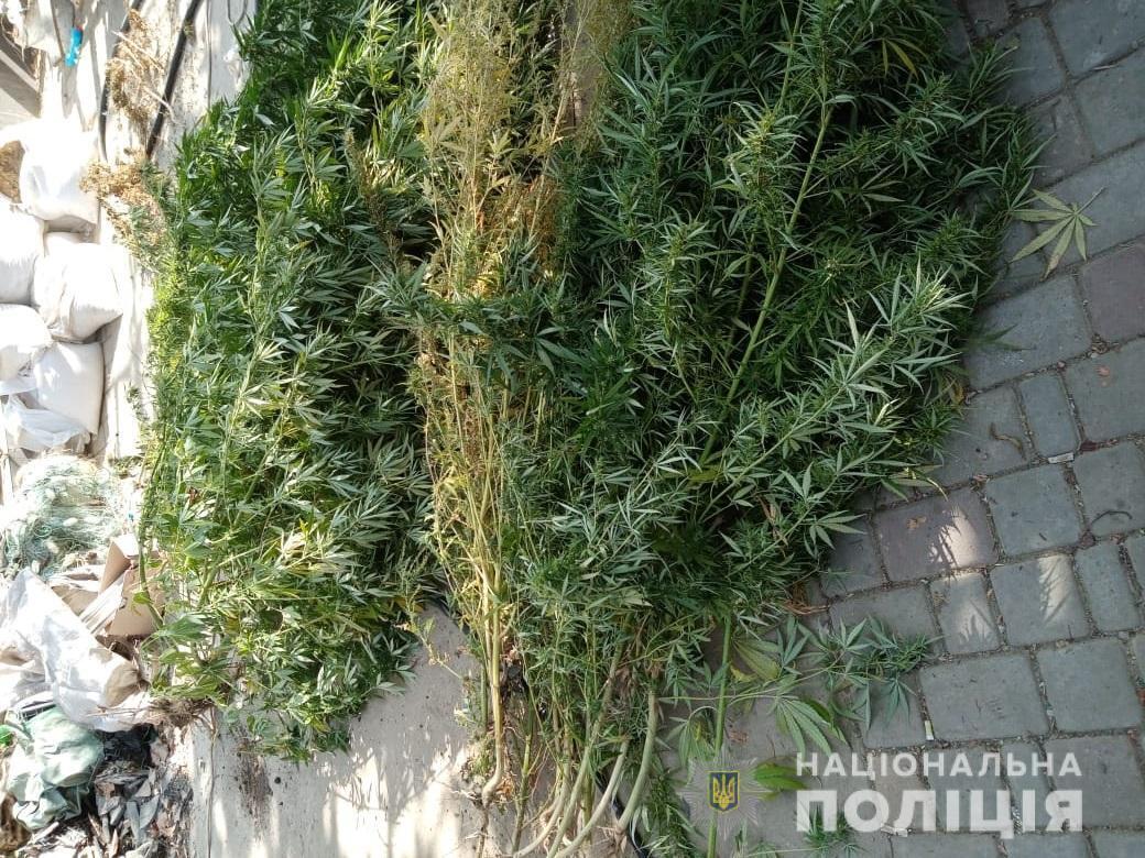 Правоохоронці викрили жителя Іванівського району у зберіганні наркотиків
