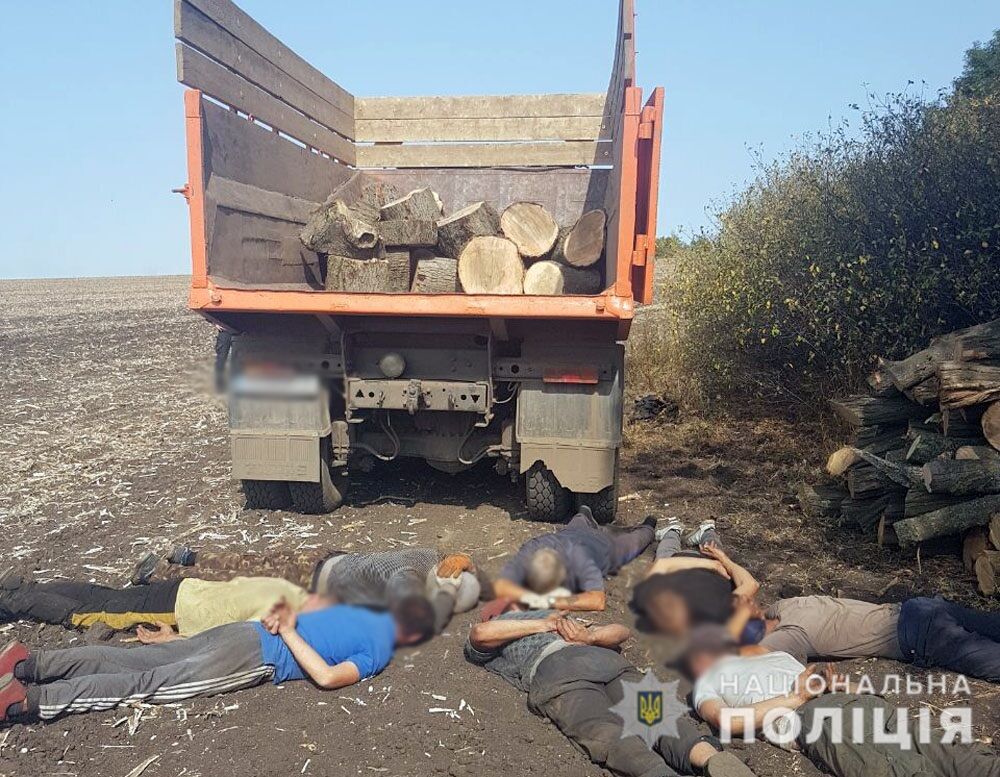Поліція Донеччини ліквідувала нелегальний бізнес з вирубки лісу на чотири мільйони гривень