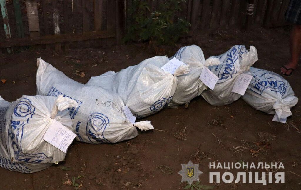 В Маріуполі обласні поліцейські перекрили канал збуту марихуани (ВІДЕО)