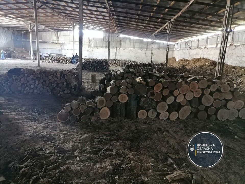 Викрито групу осіб на Донеччині, яка займалась незаконною порубкою дерев (ФОТО)