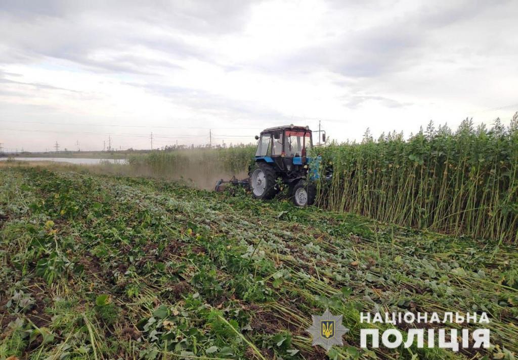 З початку року поліція Донеччини вилучила наркотики на 11 мільйонів гривень