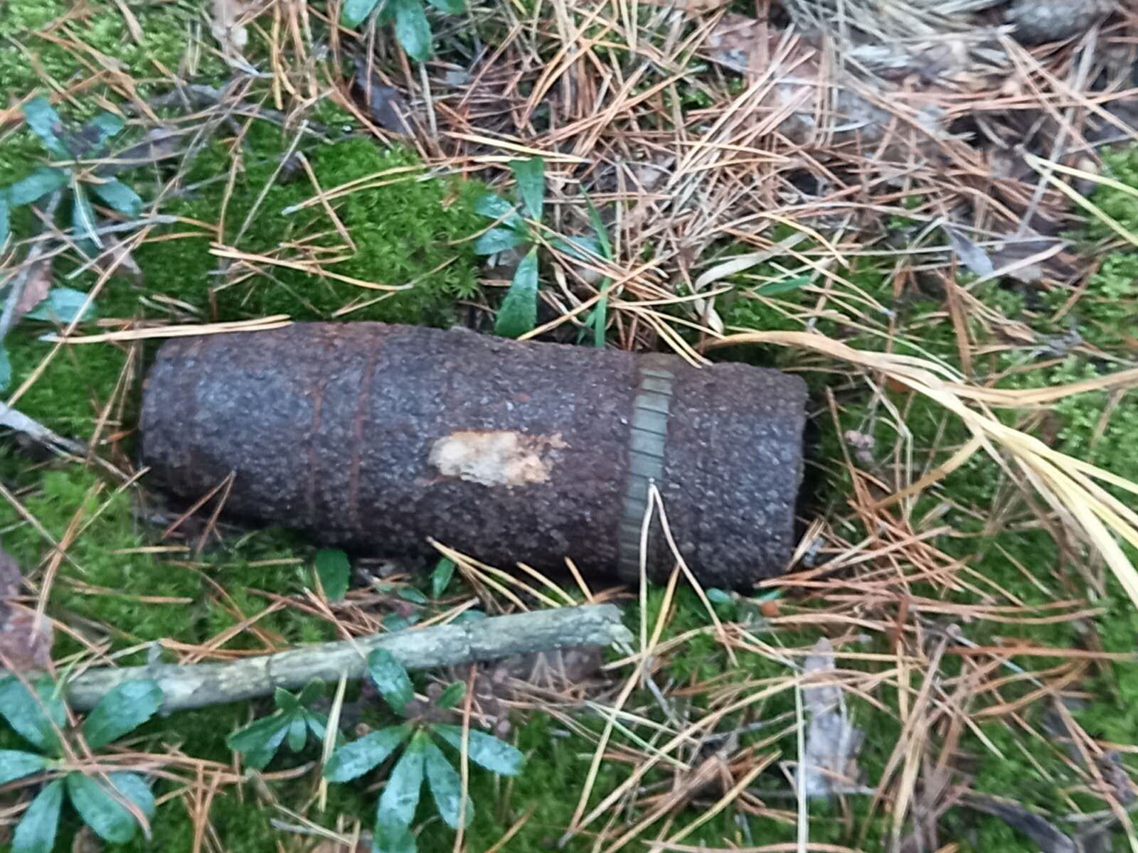 Житомирська область: піротехніки ДСНС області знищили п’ять артилерійських снарядів часів минулих війн