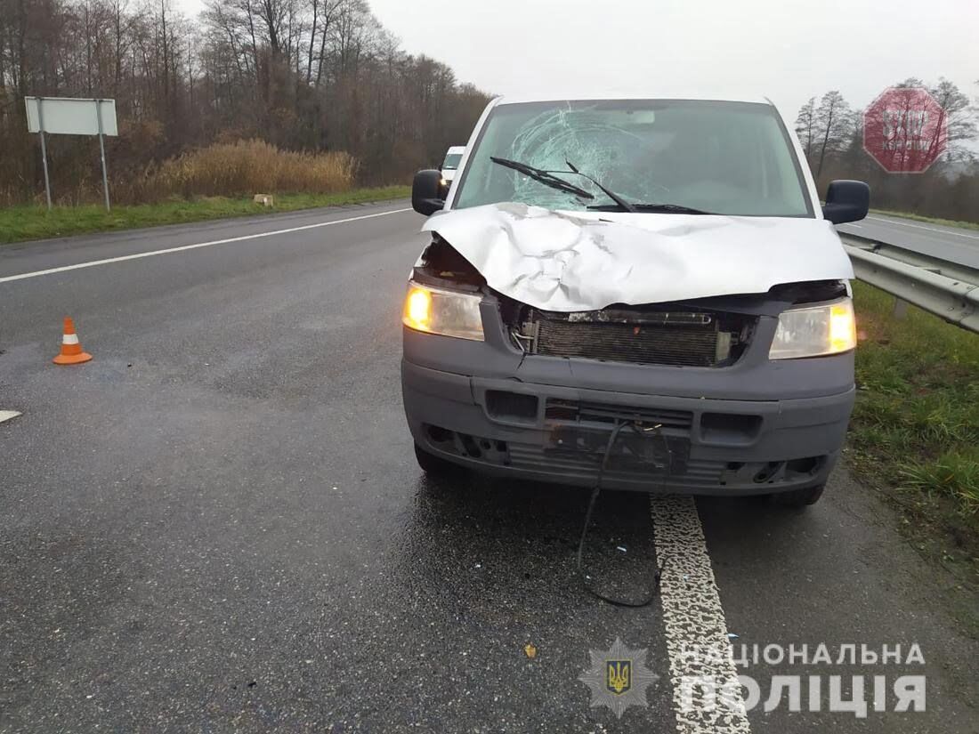  Фото: Нацполіція