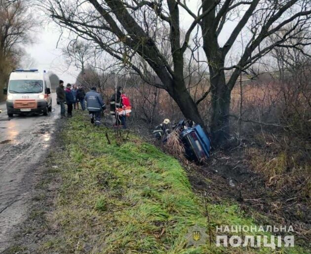 На Житомирщині автівка в'їхала у дерево, є загиблі