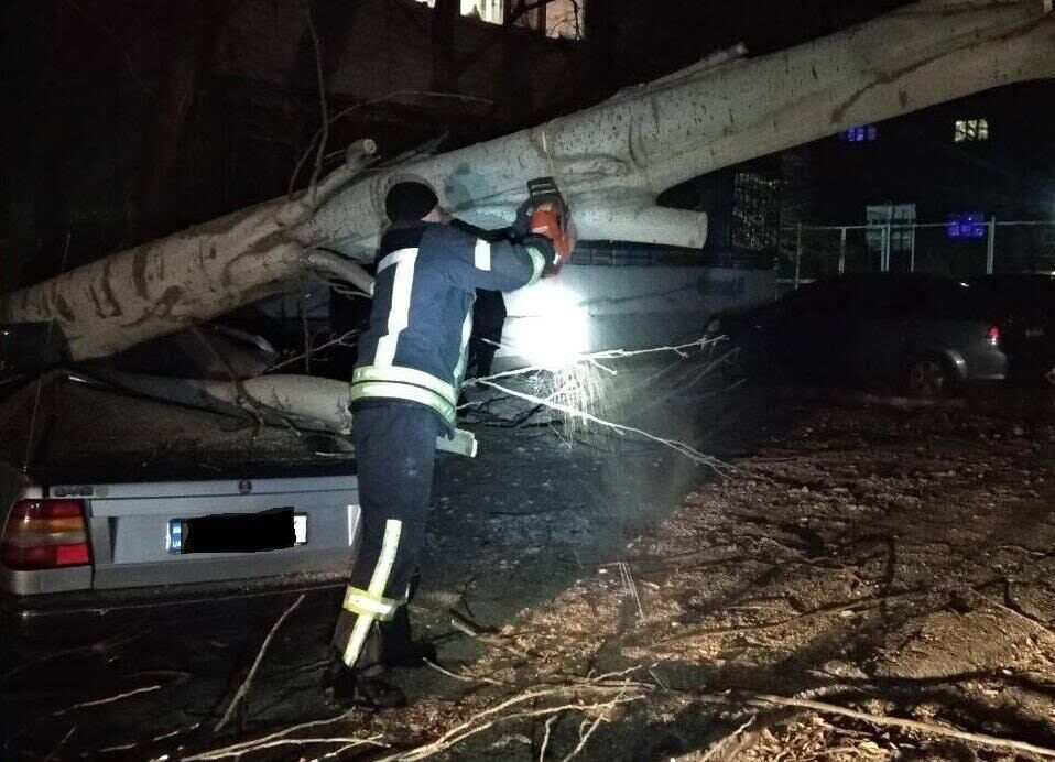 м. Запоріжжя: рятувальники прибрали повалені внаслідок сильного вітру дерева
