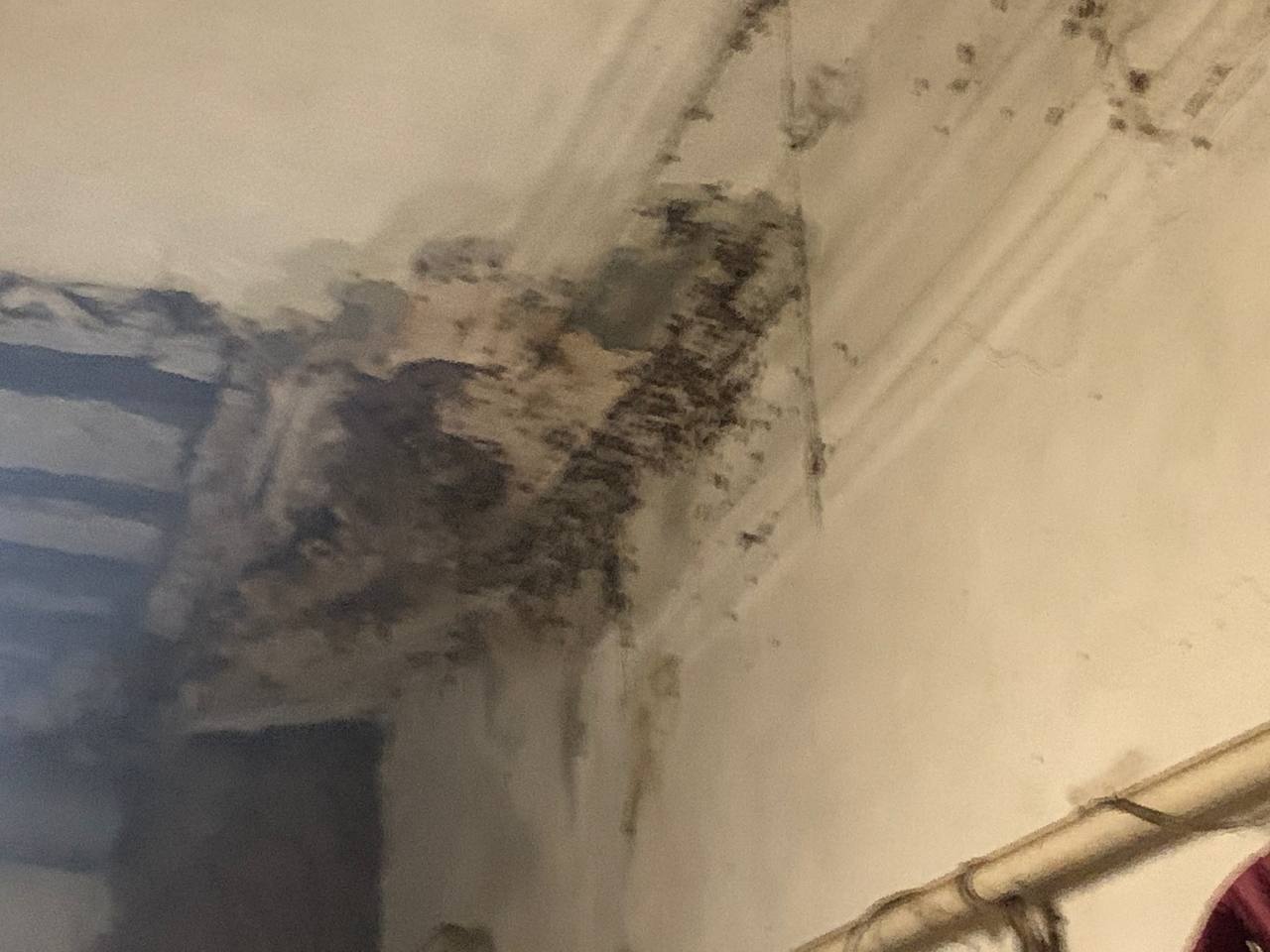 Жахливі умови проживання дітей в будинку на вул. Римарській — прокуратура розпочала кримінальне провадження для перевірки дій посадових осіб (ФОТО)