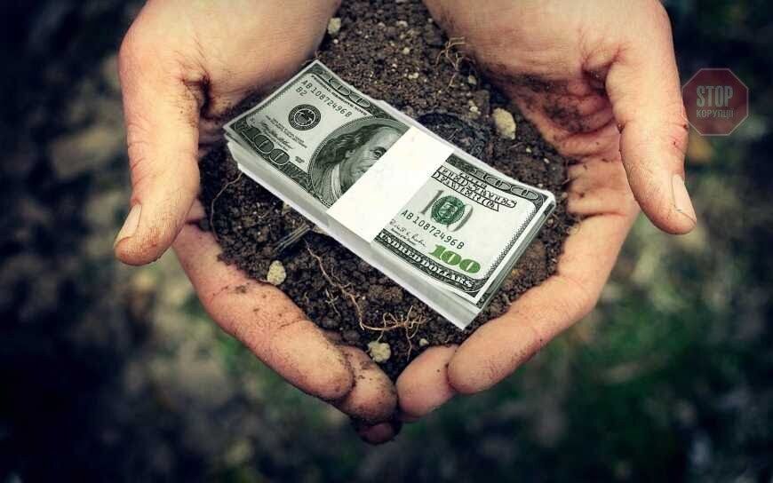 Фото: agro-business.com.ua