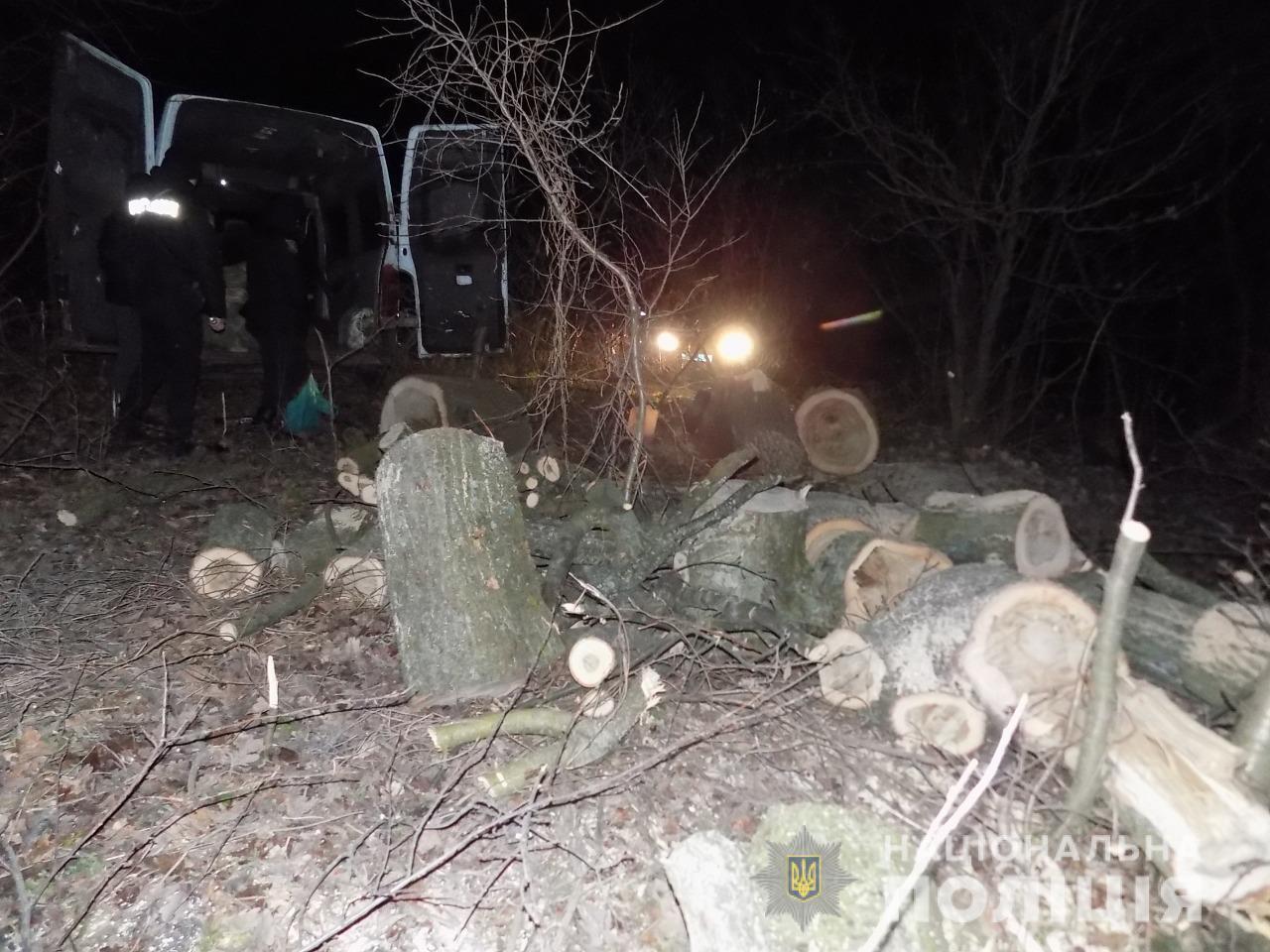 Поліцейські продовжують боротьбу з незаконною порубкою лісу на Одещині