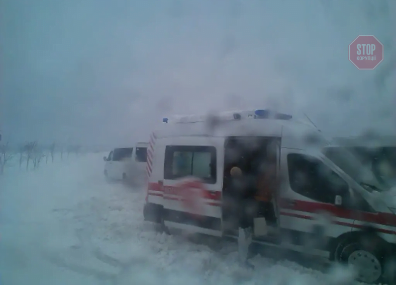  Фото: Думская