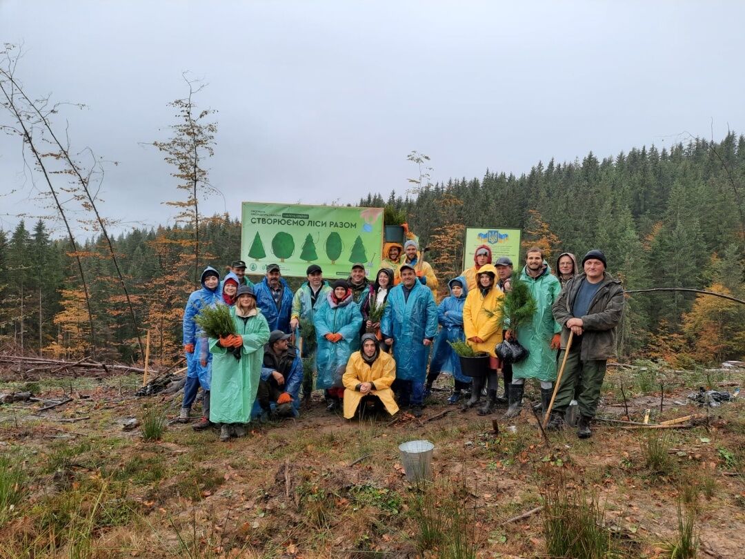 На Прикарпатті висадили понад 4 тисячі хвойних дерев
