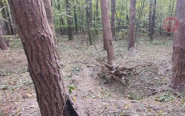  У Чернівецькій області чоловік підірвався на старому снаряді в лісі Фото: Нацполіція