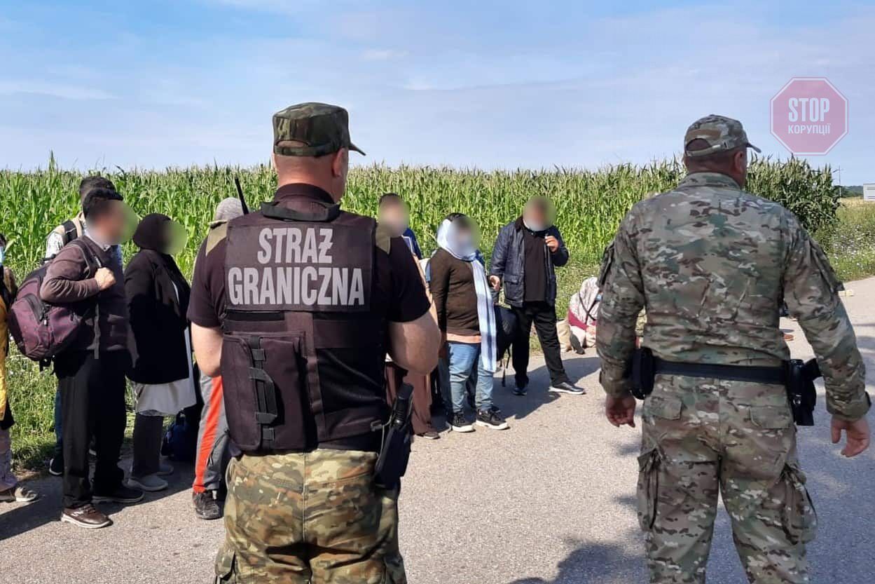  Затримання незаконних мігрантів польськими прикордонниками Фото: Straż Graniczna