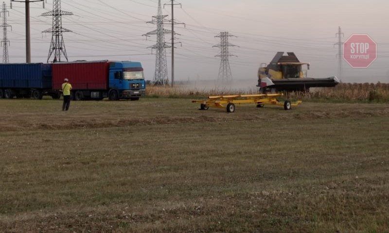  У Кам'янському на Дніпропетровщині вбирають врожай з поля, якого не існує Фото: СтопКор
