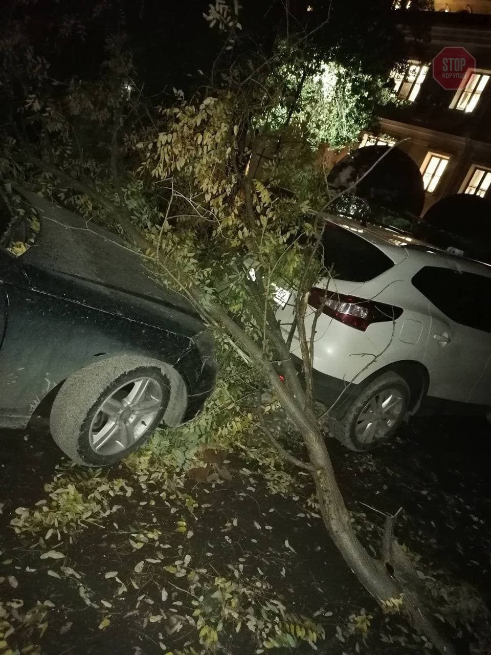  Потужний ураган у Криму ламав гілки та дерева Фото: Апостроф