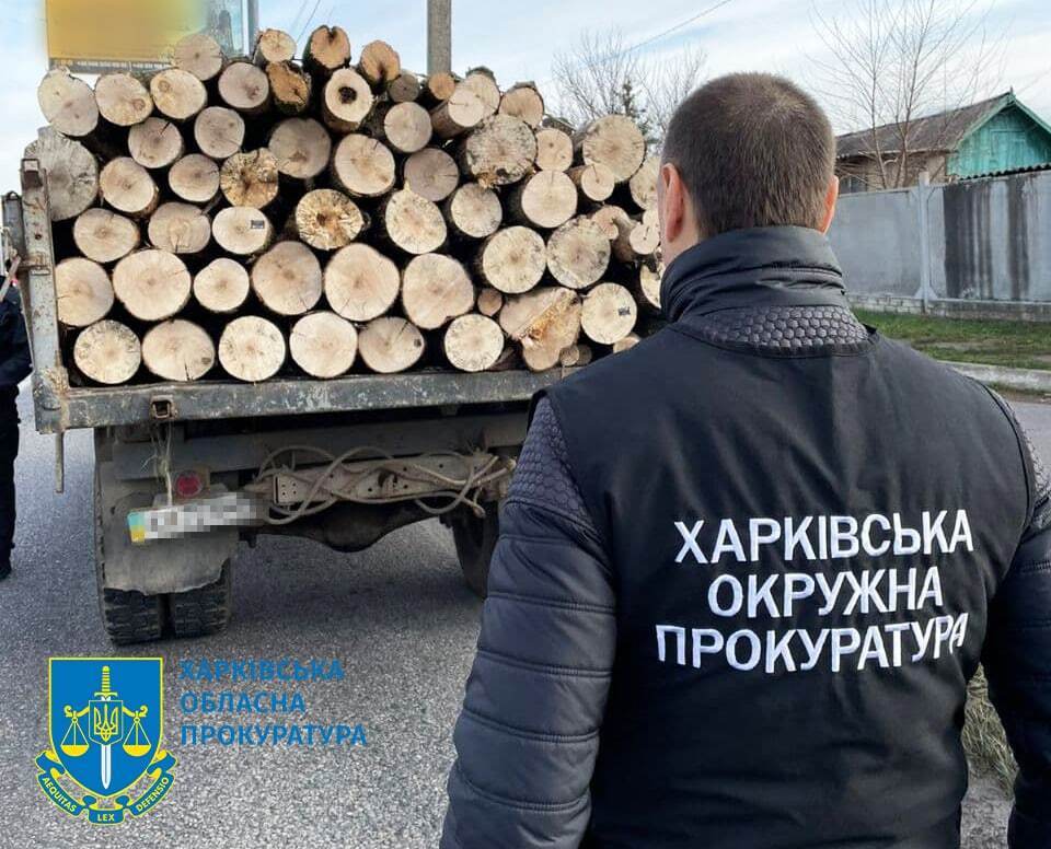 Завдяки скоординованим діям прокуратури розшукано харків’янина, який незаконно вирубував дерева на Харківщині (ФОТО)