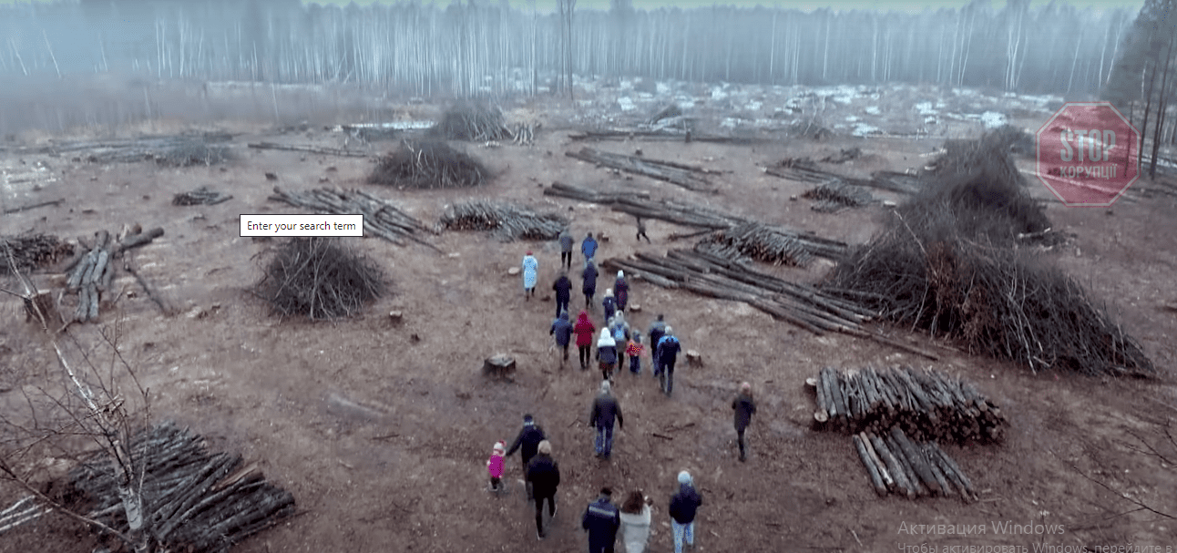  Масштаб вирубування лісів на Житомирщині Фото: скриншот