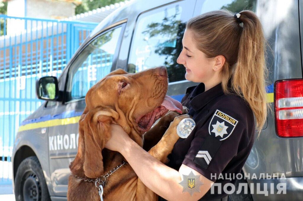 Чотири роки кінологічному центру: поліцейські та їхні чотирилапі помічники убезпечили Донеччину від майже 47 тисяч боєприпасів