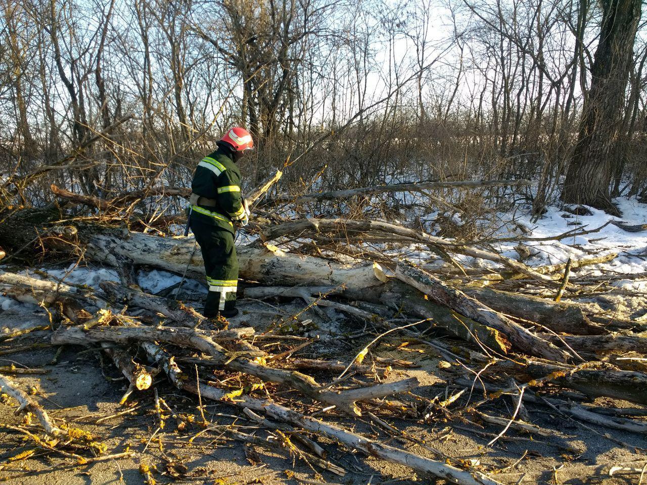 Рятувальники кіровоградського гарнізону чотири рази розпилювали та прибирали аварійні дерева