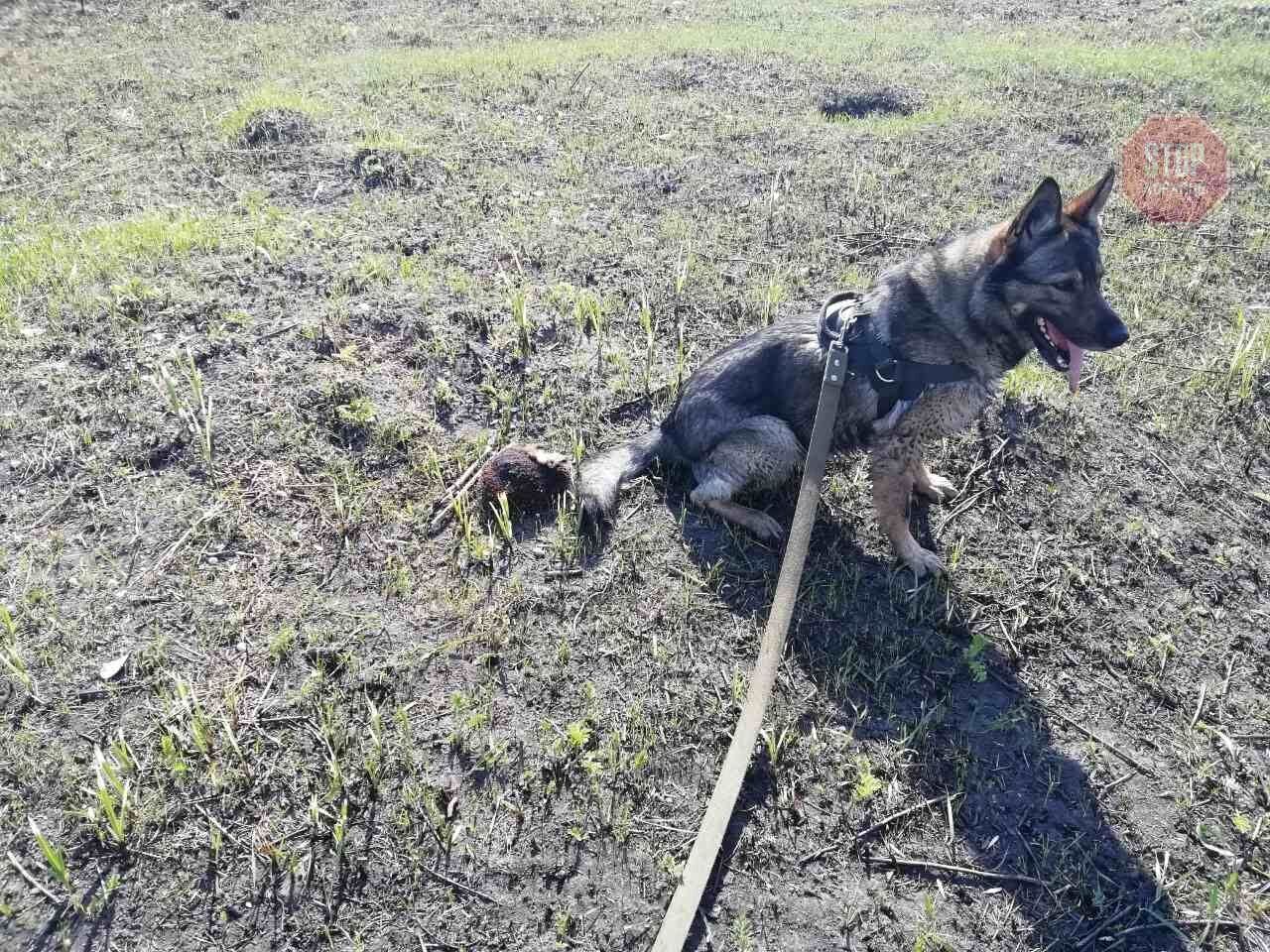  Фото: Нацполіція