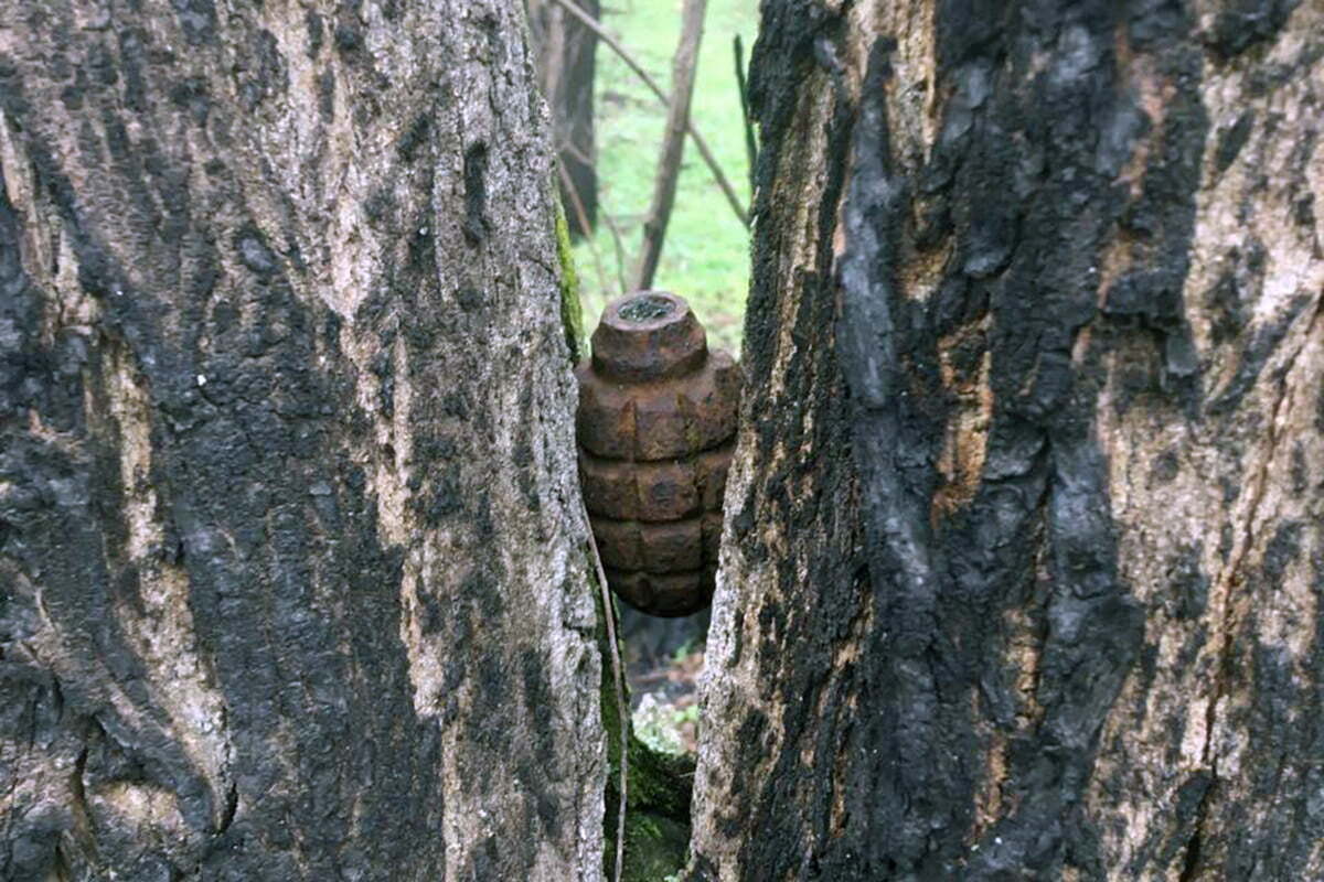 На Дніпропетровщині піротехніки ДСНС знищили застарілу ручну протипіхотну гранату Ф-1