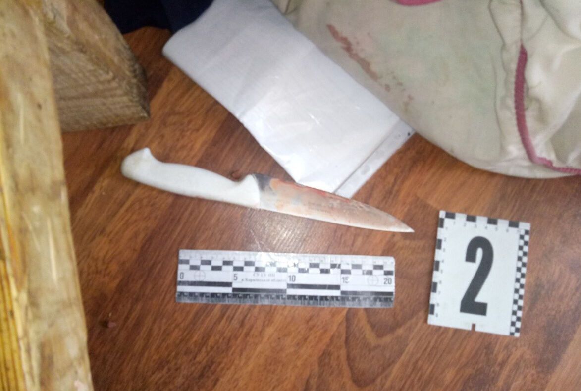 Хотів позбутися бабусі: за замах на вбивство онук отримав 7 років в’язниці (ФОТО)