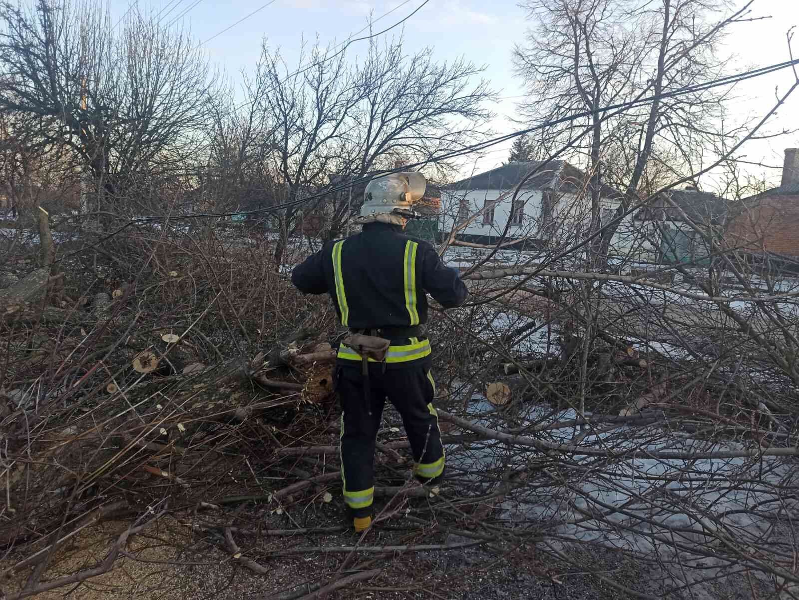 Рятувальники кіровоградського гарнізону чотири рази розпилювали та прибирали аварійні дерева
