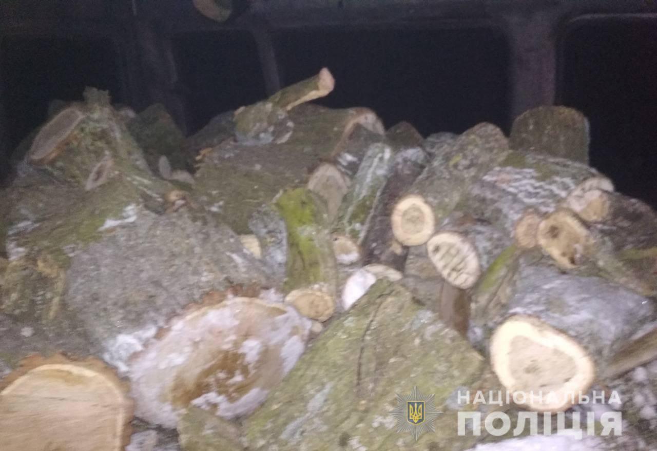 Поліцейські викрили жителів Подільського району у незаконній порубці та перевезенні лісу