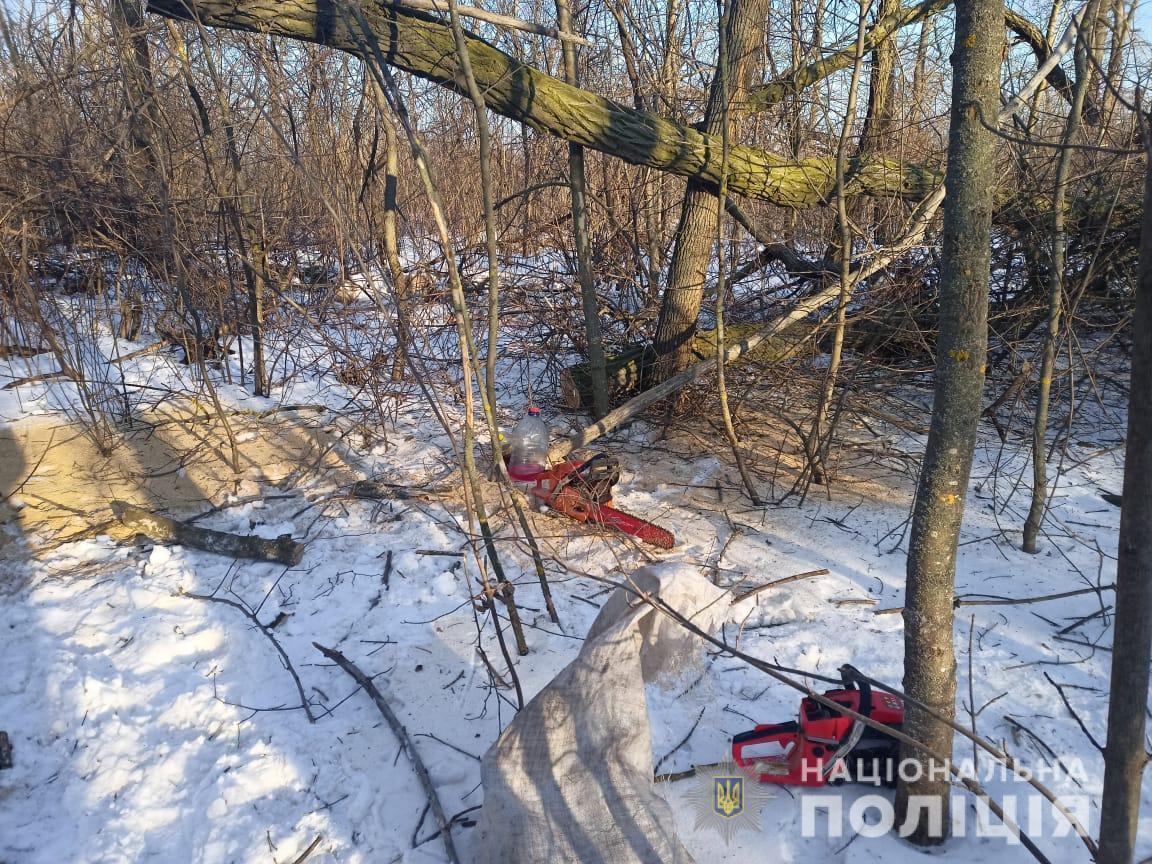 Поліцейські викрили жителів Подільського району у незаконній порубці та перевезенні лісу