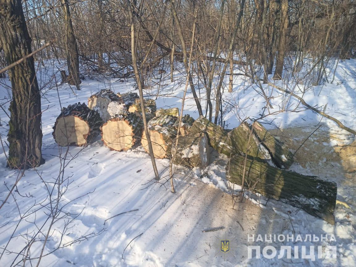 Поліцейські викрили жителів Подільського району у незаконній порубці та перевезенні лісу