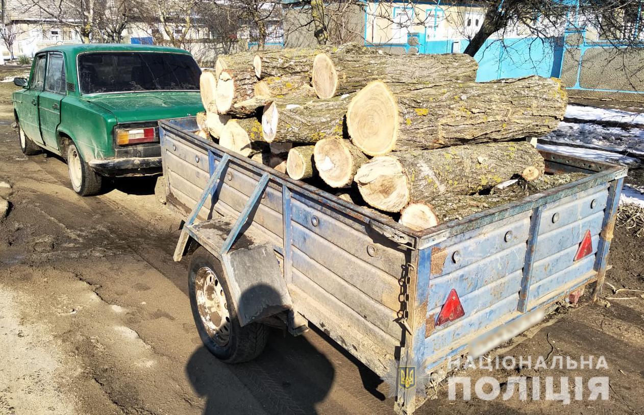 Поліцейські притягують жителів Білгород-Дністровського району до відповідальності за незаконне перевезення лісу