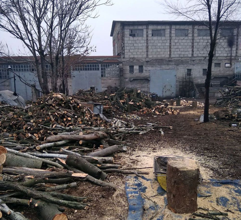 Правоохоронці Донеччини викрили групу зловмисників, які займалися незаконною порубкою лісу у Волноваському районі