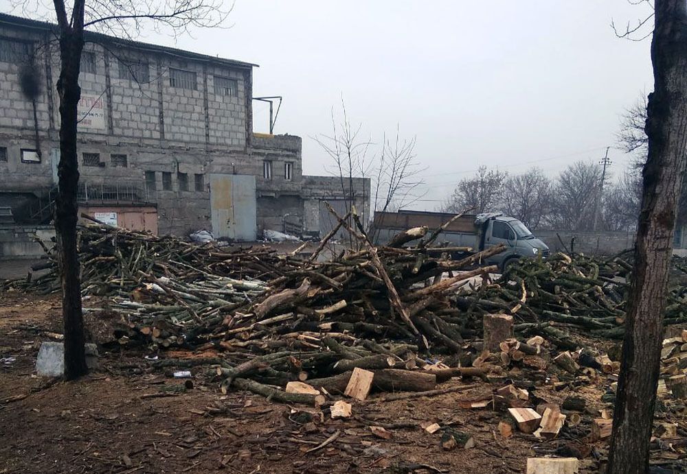 Правоохоронці Донеччини викрили групу зловмисників, які займалися незаконною порубкою лісу у Волноваському районі