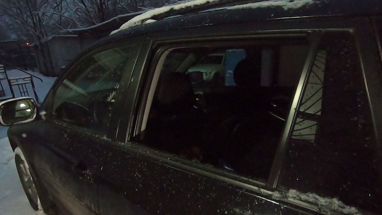 В Одесі поліцейські затримали двох іноземців за підозрою у крадіжці з автомобіля містянки