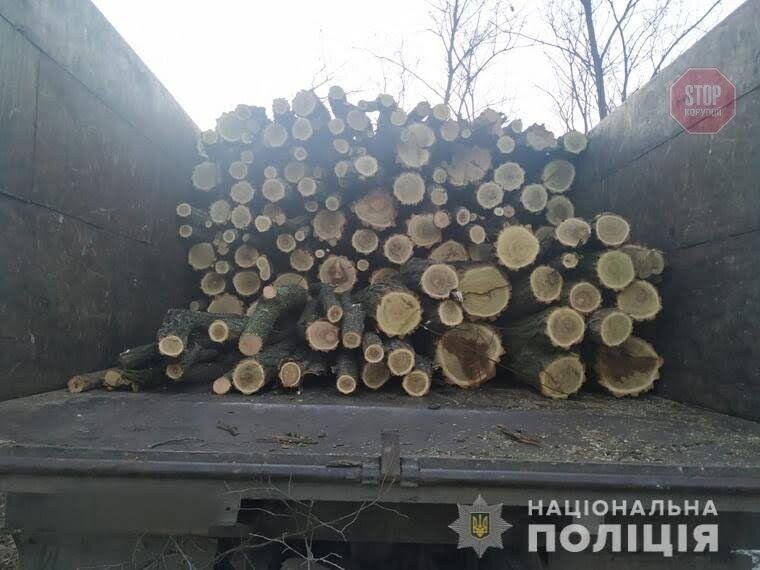 Фото: НПУ