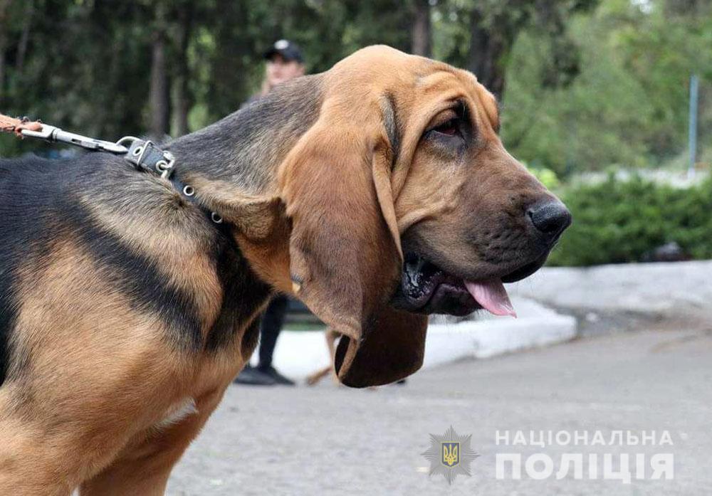 Чотири роки кінологічному центру: поліцейські та їхні чотирилапі помічники убезпечили Донеччину від майже 47 тисяч боєприпасів