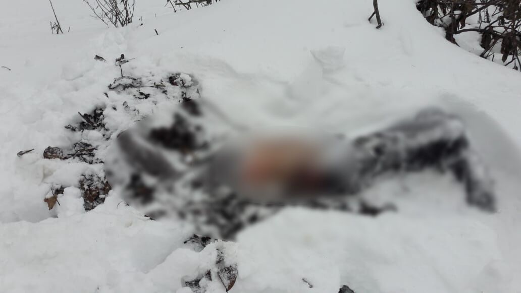 Поліцейські затримали жителя Савранщини за підозрою у вбивстві