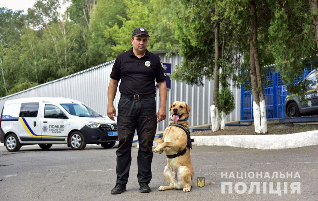 Чотири роки кінологічному центру: поліцейські та їхні чотирилапі помічники убезпечили Донеччину від майже 47 тисяч боєприпасів