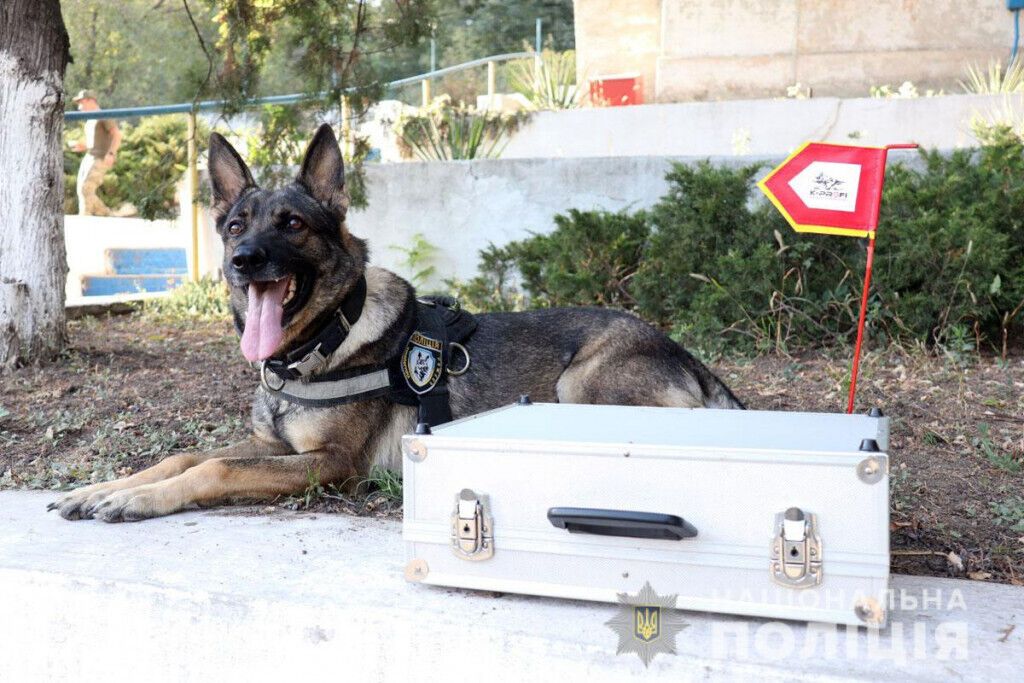 Чотири роки кінологічному центру: поліцейські та їхні чотирилапі помічники убезпечили Донеччину від майже 47 тисяч боєприпасів