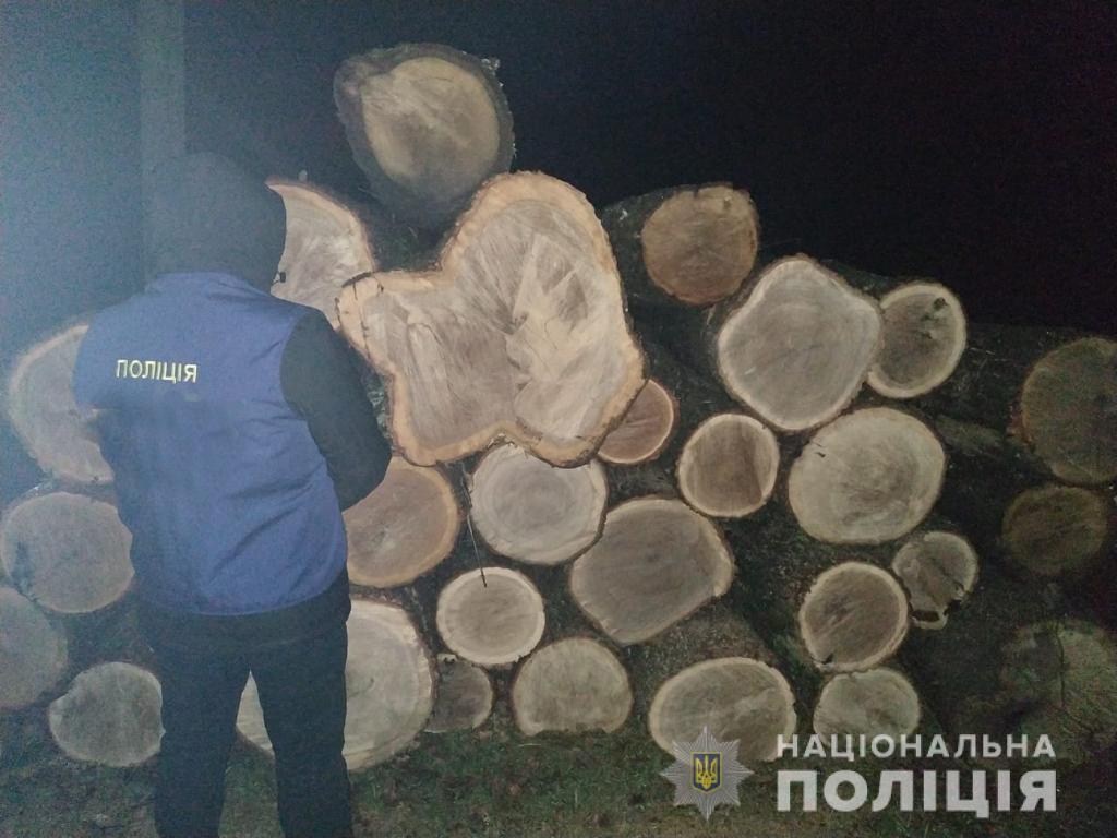 На Житомирщині поліцейські викрили групу осіб на незаконній порубці лісу