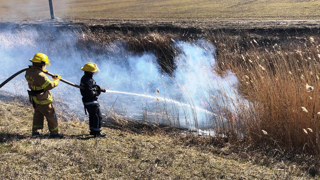Рятувальники Херсонщини за добу ліквідували 10 пожеж в екосистемах