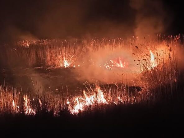 Миколаївська область: вогнеборці продовжують боротись з вогнем на відкритих територіях