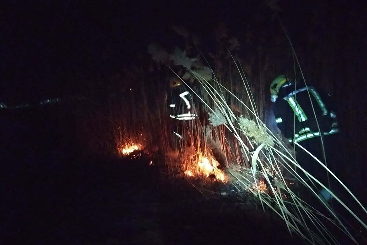 Дніпроптеровська область: надзвичайники ліквідували масштабну пожежу в екосистемі