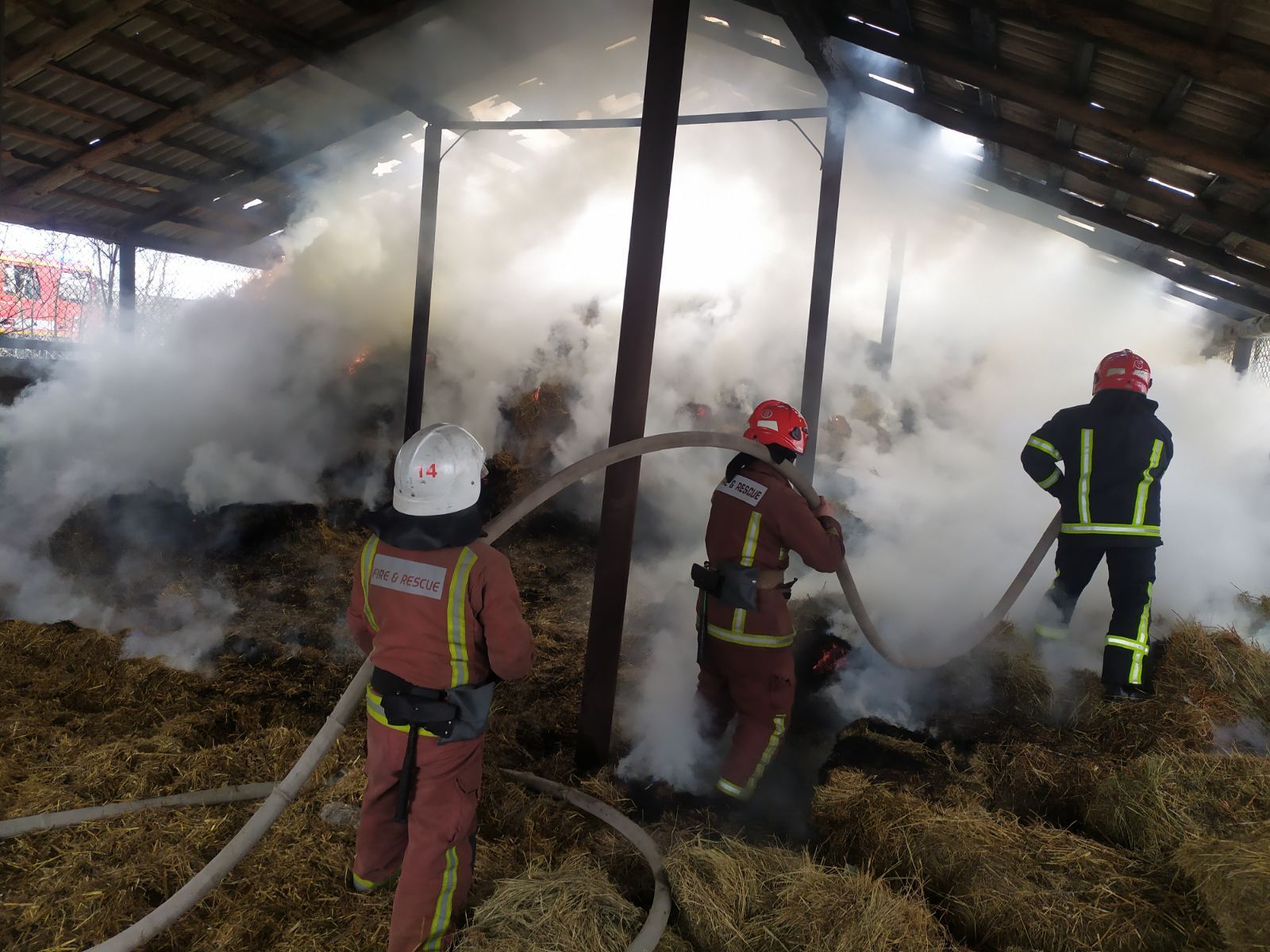 Львівська область: внаслідок пожежі вогонь знищив 30 т сіна та 60 т соломи
