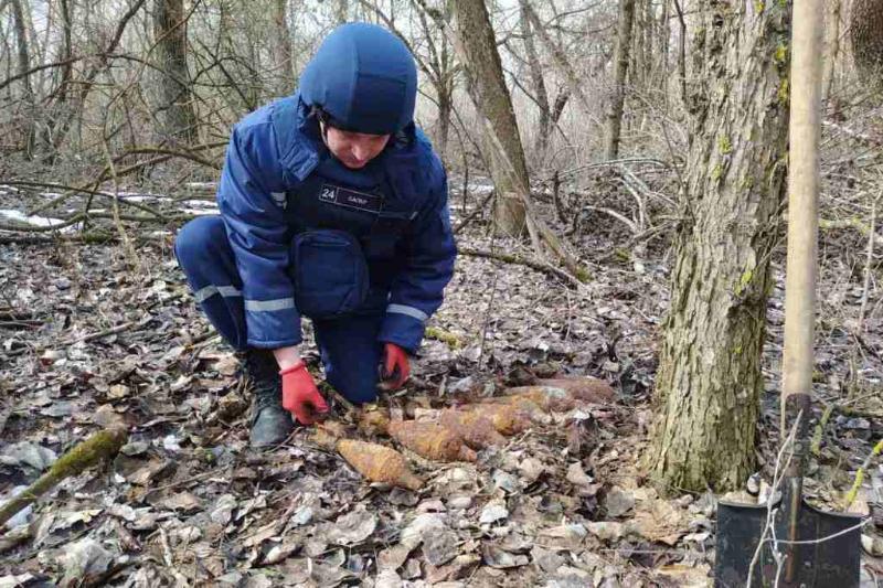 На Чернігівщині піротехніки ДСНС знищили 8 мінометних мін часів Другої світової війни
