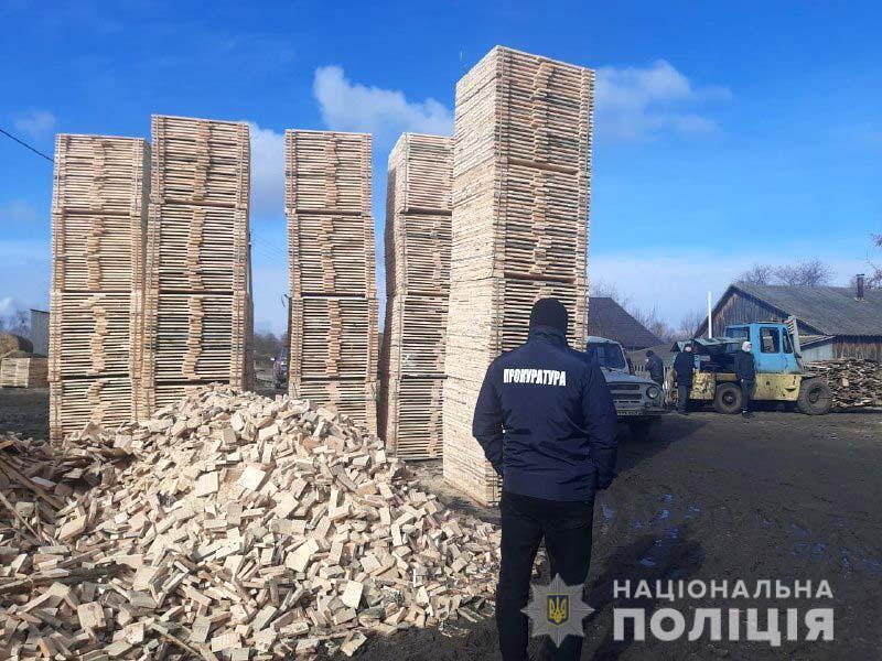 Майже 200 кубометрів деревини без відповідних документів виявили поліцейські на Рівненщині