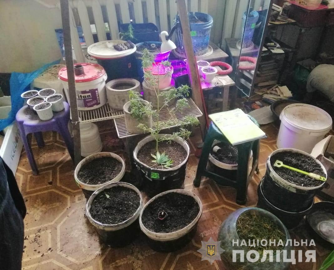 Правоохоронці вилучили у жителя Одещини наркомісткі рослини