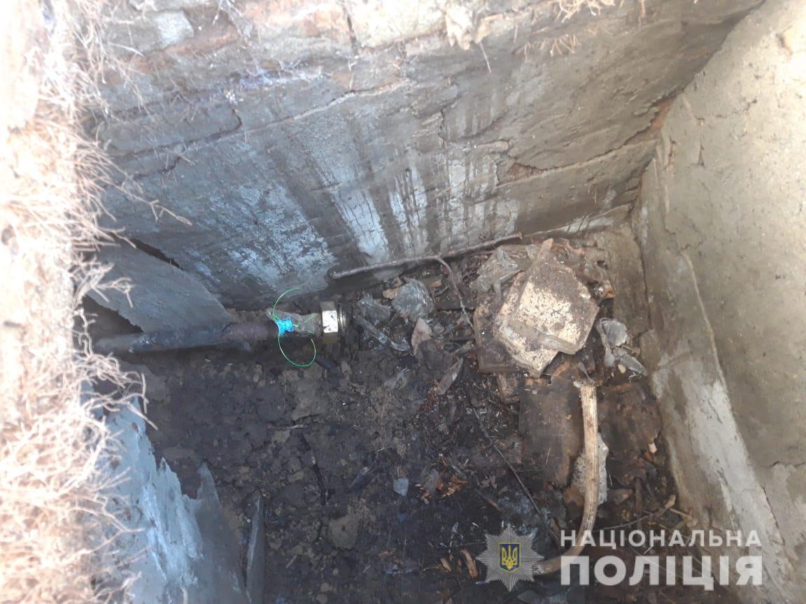 На Одещині поліцейські викрили чоловіка в обкраданні дачних ділянок