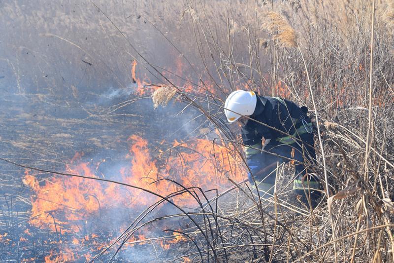 Рятувальники Миколаївщини ліквідували пожежу очерету на відкритій території